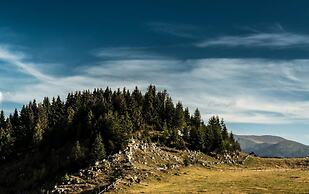 Pensiunea Padina Ursului