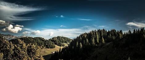 Pensiunea Padina Ursului