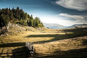 Pensiunea Padina Ursului