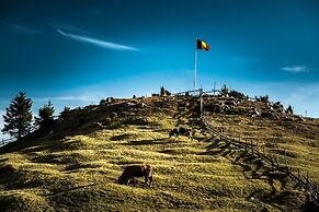 Pensiunea Padina Ursului