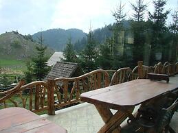 Pensiunea Padina Ursului