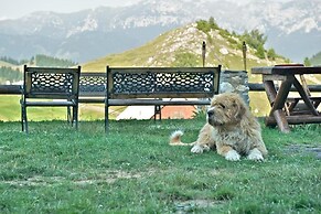 Pensiunea Padina Ursului