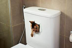 OYO 90580 Munchkin Timurbay