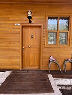 Trinitys Forest Bungalows