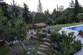 Trinitys Forest Bungalows