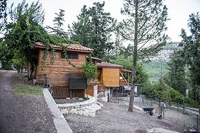 Trinitys Forest Bungalows