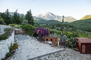 Trinitys Forest Bungalows