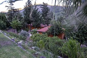 Trinitys Forest Bungalows