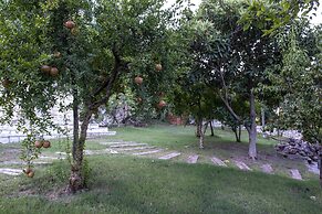 Trinitys Forest Bungalows