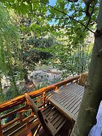 Trinitys Forest Bungalows