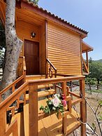 Trinitys Forest Bungalows