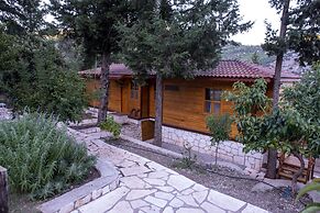 Trinitys Forest Bungalows