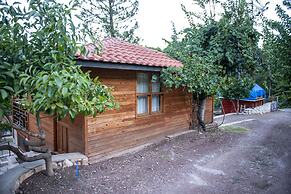 Trinitys Forest Bungalows