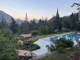 Trinitys Forest Bungalows