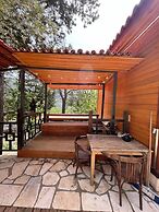 Trinitys Forest Bungalows