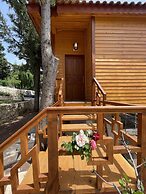 Trinitys Forest Bungalows