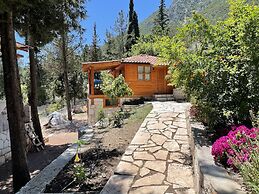 Trinitys Forest Bungalows