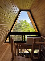 Trinitys Forest Bungalows