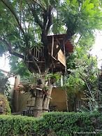 Casita del Arbol