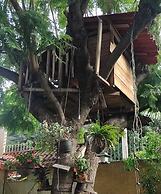 Casita del Arbol