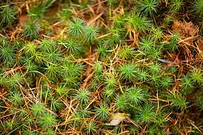 AC Hotel by Marriott Inverness