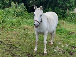 One Bed Apartment in Carrigart for Couple on WAW