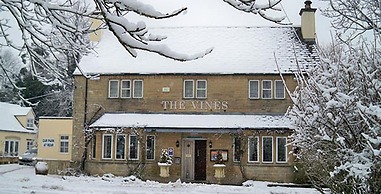 The Vines