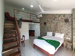 Palmas De Chahue