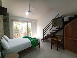 Palmas De Chahue