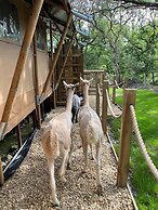 Robin Hood Safari Tent