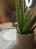 Robin Hood Safari Tent