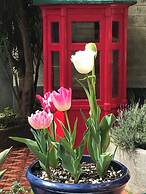 The Old Eltham Post Office