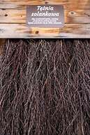 Golden View Apartment Wellness & SPA