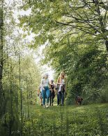 The Glamping Collective