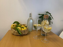 Fetta di Limone Apartment with AC