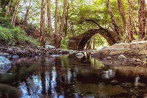 Villa Miracle in Paralimni