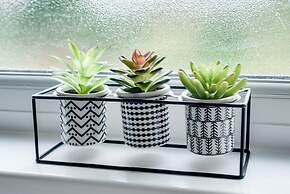 Cheerfull 3-bedroom Home With Parking Garden