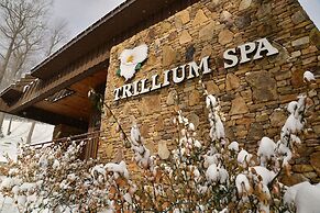 Seven Springs Resort Properties