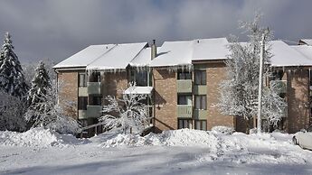 Seven Springs Resort Properties