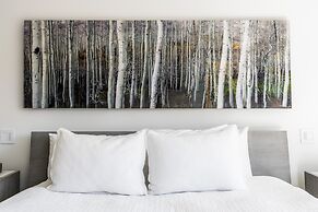 Modern Mountain Retreat