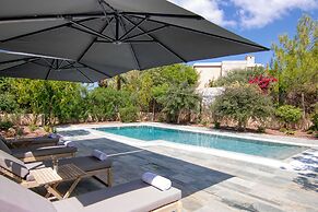 Phaedrus Living: Amorosa 13 Beachside Villa