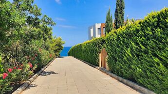 Phaedrus Living: Amorosa 13 Beachside Villa