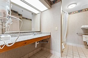 Metro Scottsdale Apartments