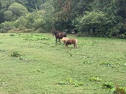 Beautiful 1-bed Studio in Boyton Launceston