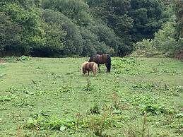 Beautiful 1-bed Studio in Boyton Launceston