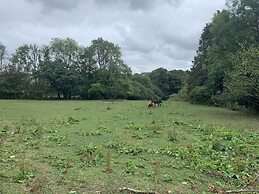 Beautiful 1-bed Studio in Boyton Launceston