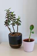 Shorebreak - Bracklesham Bay Apartment