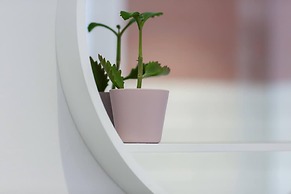 Shorebreak - Bracklesham Bay Apartment