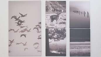 Italianway - San Gallo 16