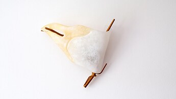 So-b049-colt6b1 - Coltura 6 - Funivia 2